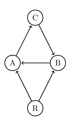 Complex Causal Network