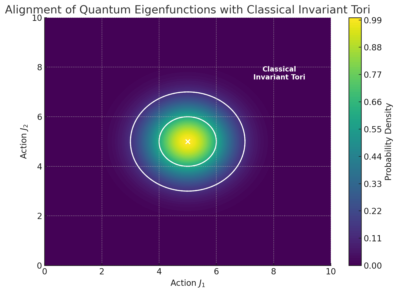 Alignment of Quantum Eigenfunctions with Classical Invariant Tori